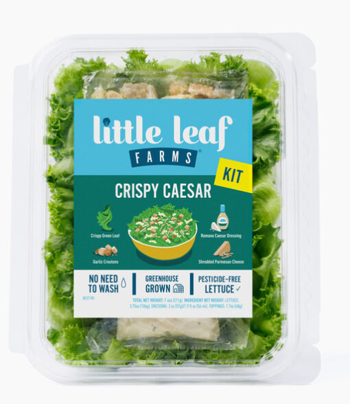 crispy-caesar-little-leaf-salad-front