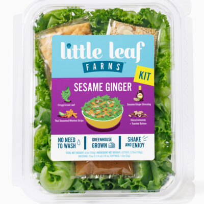 sesame-ginger-little-leaf-salad-front