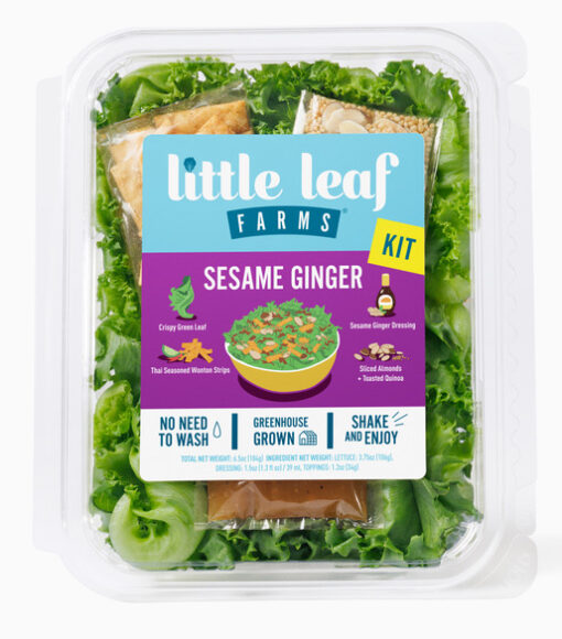 sesame-ginger-little-leaf-salad-front