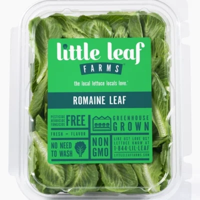 little-leaf-romaine-leaf-front